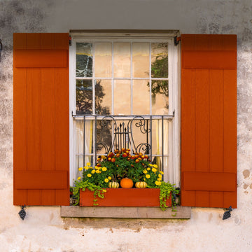 Stonecroft 47" Shutter Set of 2 Highwood USA