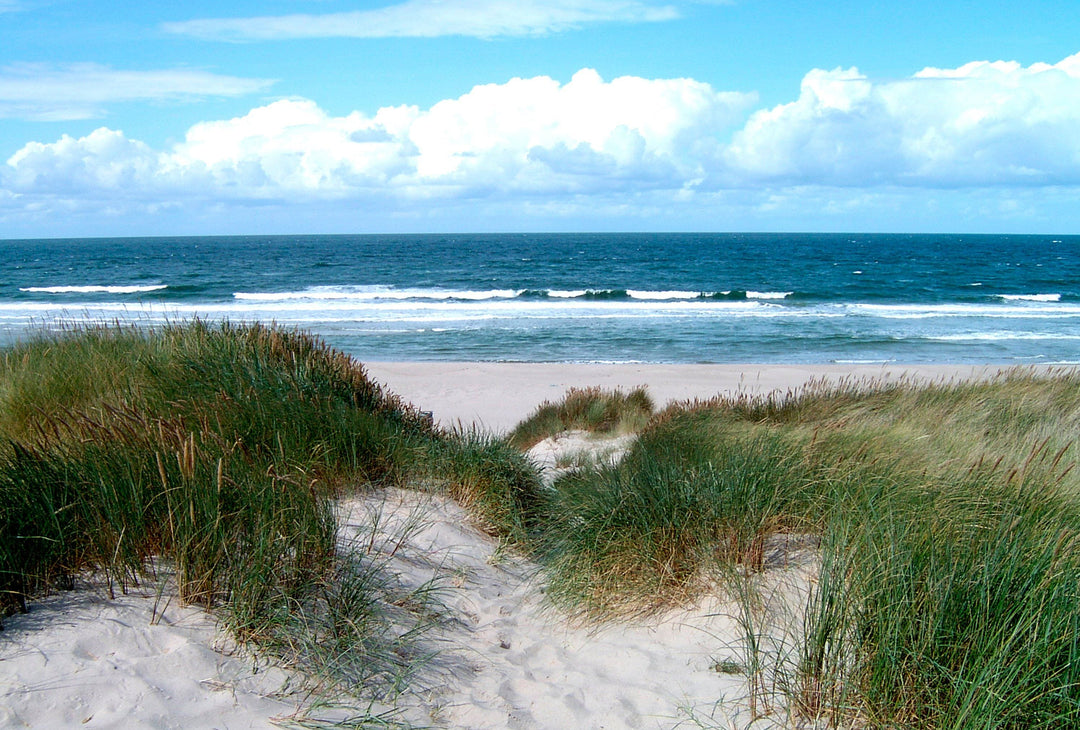 Beach House Furniture