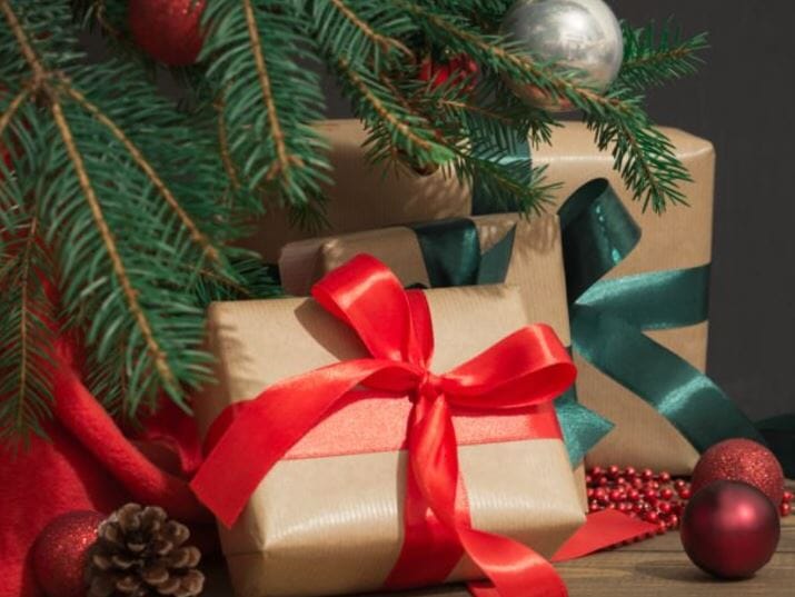 Holiday Gift Guide
