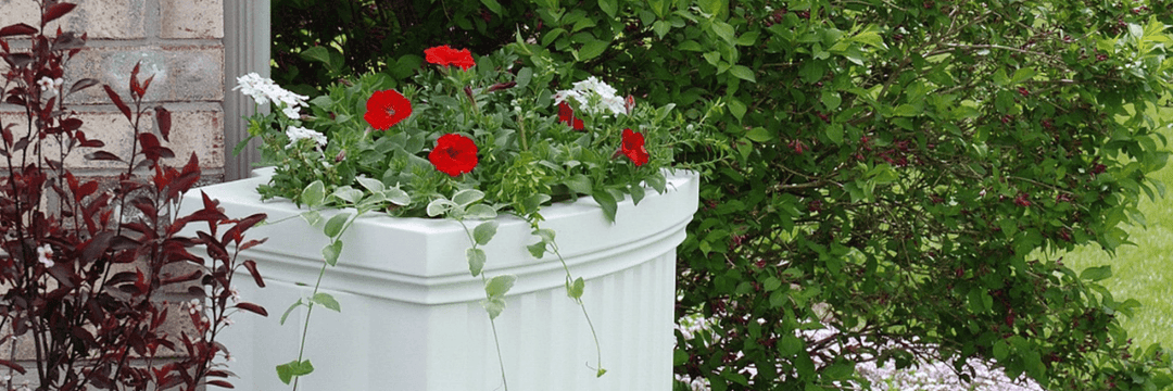 Window Boxes & Rain-catchers